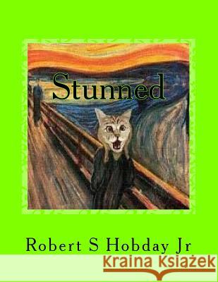 Stunned: A Collection of Stunned Cats Robert S. Hobda 9781548190095 Createspace Independent Publishing Platform - książka