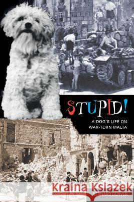 Stupid Mr Bernard John Patrick Denver 9781546850878 Createspace Independent Publishing Platform - książka