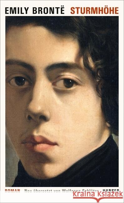 Sturmhöhe : Roman Brontë, Emily 9783446250666 Hanser - książka