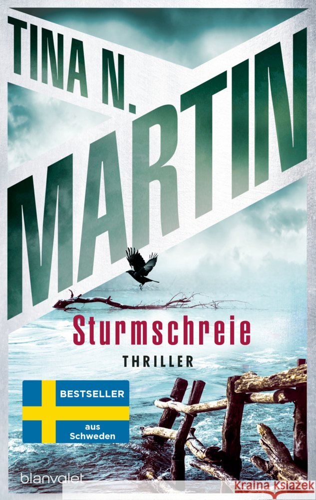 Sturmschreie Martin, Tina N. 9783734114168 Blanvalet - książka