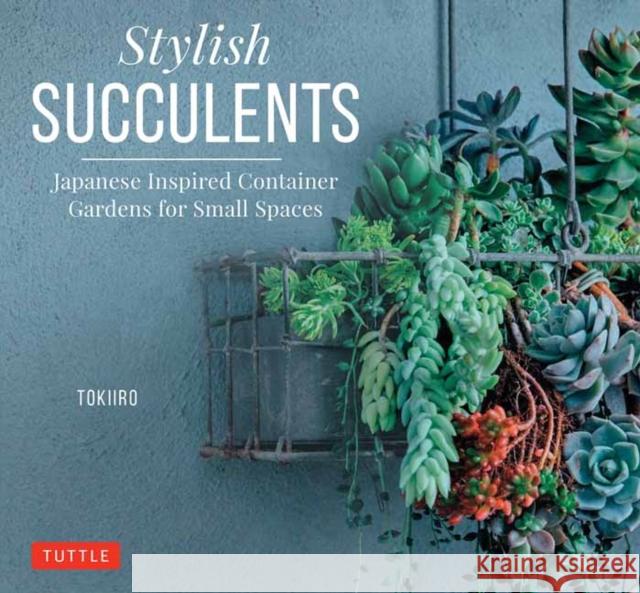 Stylish Succulents: Japanese Inspired Container Gardens for Small Spaces Kondo, Yoshinobu 9780804850957 Tuttle Publishing - książka