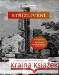 Střízlivění Petr Hampl 9788090864191 Nakladatelství Ivana Davida - książka