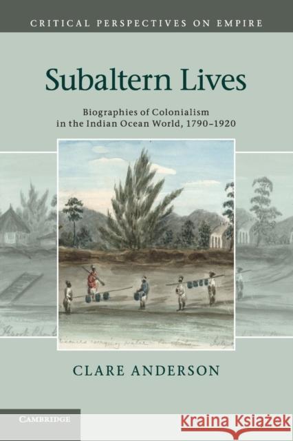 Subaltern Lives Anderson, Clare 9781107645448  - książka