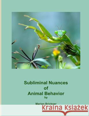 Subliminal Nuances of Animal Behavior Marian Brickner 9781540695468 Createspace Independent Publishing Platform - książka