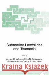 Submarine Landslides and Tsunamis Yalciner, Ahmet C. 9781402013485 Springer - książka