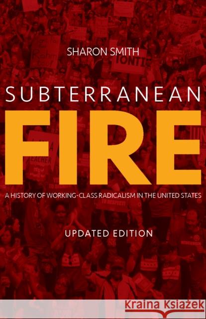 Subterranean Fire: A History of Working-Class Radicalism in the United States  9781608469178 Haymarket Books - książka
