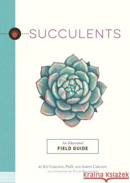 Succulents: An Illustrated Field Guide Kit Carlson 9781646434534 HarperCollins Focus - książka