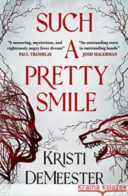 Such a Pretty Smile Kristi DeMeester 9781803362465 Titan Books Ltd - książka