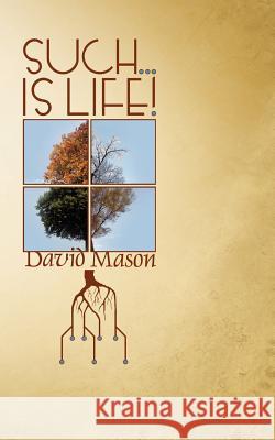 Such... Is Life! David Mason 9781844018925 New Generation Publishing - książka