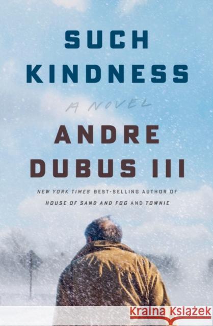 Such Kindness Dubus, Andre 9781324000464 W. W. Norton & Company - książka