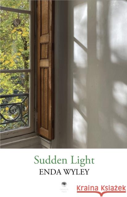 Sudden Light Enda Wyley 9781915629456 Dedalus Press - książka