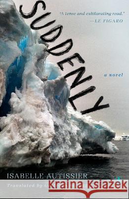 Suddenly Isabelle Autissier Gretchen Schmid 9780143137429 Penguin Books - książka
