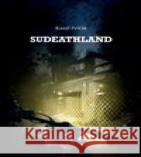 Sudeathland Kamil Pešťák 9788090787766 Smartconsulting s.r.o. - książka