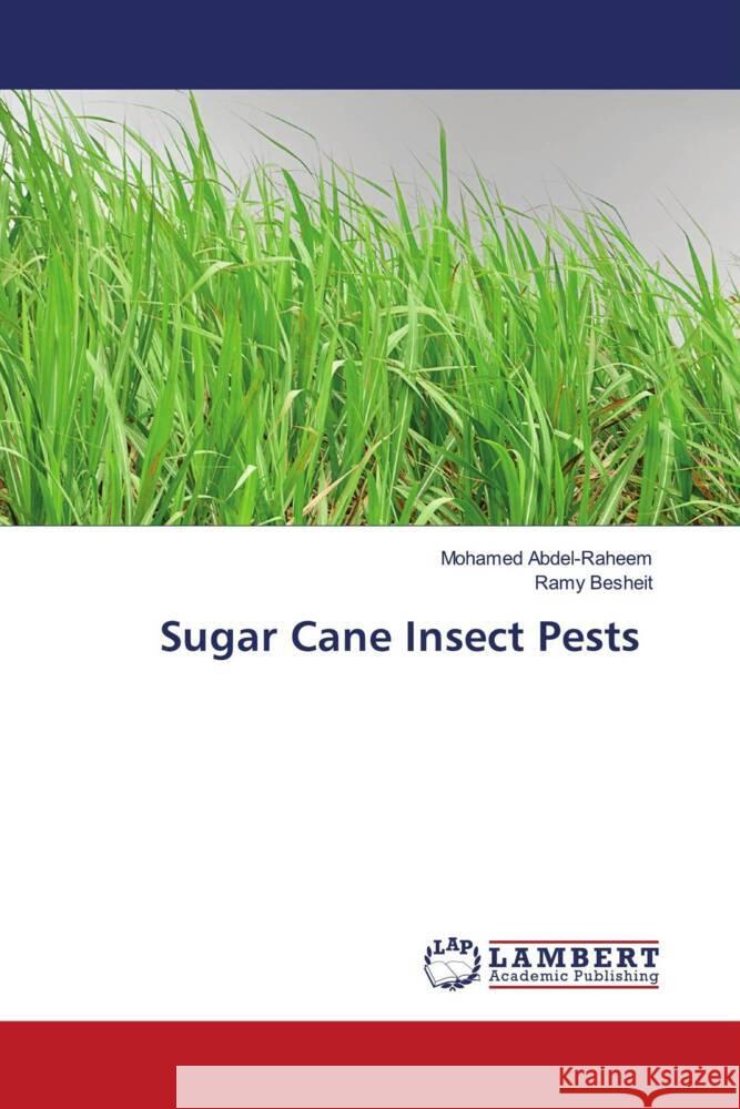 Sugar Cane Insect Pests Abdel-Raheem, Mohamed, Besheit, Ramy 9786204202532 LAP Lambert Academic Publishing - książka