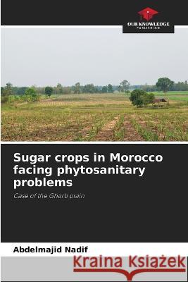 Sugar crops in Morocco facing phytosanitary problems Abdelmajid Nadif   9786203165791 International Book Market Service Ltd - książka
