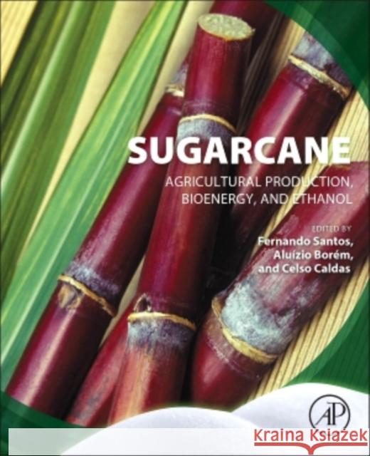 Sugarcane: Agricultural Production, Bioenergy and Ethanol Fernando Santos 9780128022399 ACADEMIC PRESS - książka