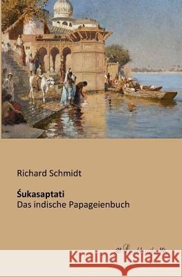 Śukasaptati: Das indische Papageienbuch Schmidt, Richard 9783955631314 Leseklassiker - książka