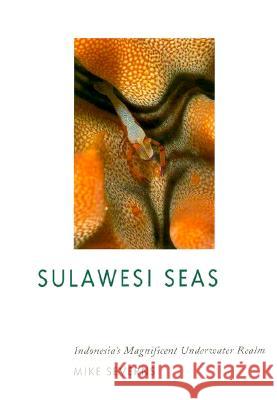 Sulawesi Seas: Indonesia's Magnificent Underwater Realm Mike Severns Pauline Fiene-Severns Mike Severns 9780964226906 Staples-Ecenbarger - książka