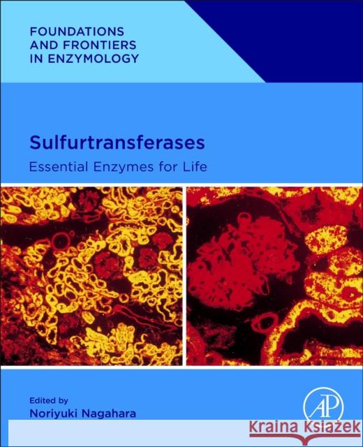 Sulfurtransferases: Essential Enzymes for Life Noriyuki Nagahara Munishwar Nath Gupta 9780443188275 Academic Press - książka