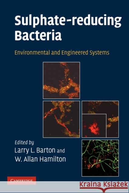 Sulphate-Reducing Bacteria: Environmental and Engineered Systems Barton, Larry L. 9780521123990 Cambridge University Press - książka