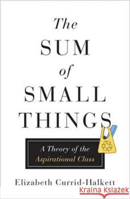 Sum of Small Things : A Theory of the Aspirational Class Currid–halkett, Elizabeth 9780691162737 John Wiley & Sons - książka