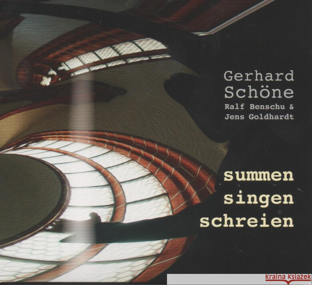 Summen Singen Schreien, Audio-CD : CD Standard Audio Format Schöne, Gerhard 9783944058016 BuschFunk - książka