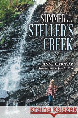 Summer at Steller's Creek Anne Clay Cernyar Joan Clay Gary Habermas 9780595137299 Writers Club Press - książka