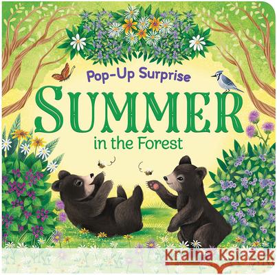 Summer in the Forest Cottage Door Press                       Katya Longhi 9781680524833 Cottage Door Press - książka