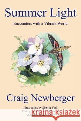 Summer Light: Encounters with a Vibrant World Craig Newberger   9781951620196 Grackle - książka