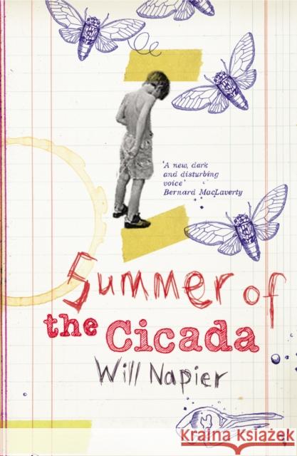 Summer Of The Cicada Will Napier 9780099472230 Vintage Publishing - książka