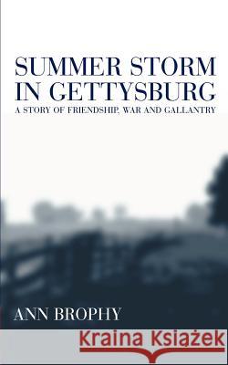 Summer Storm In Gettysburg: A Story of Friendship, War, And Galantry Brophy, Ann 9781410778239 Authorhouse - książka