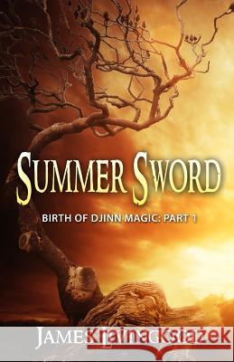 Summer Sword James Livingood 9781512305111 Createspace - książka