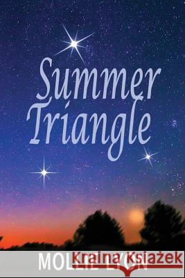 Summer Triangle: fiction Black, Teddi 9781490516080 Createspace - książka