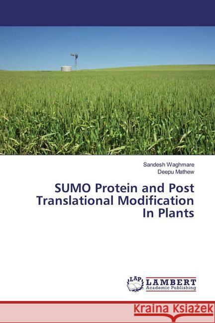 SUMO Protein and Post Translational Modification In Plants Waghmare, Sandesh; Mathew, Deepu 9786139444717 LAP Lambert Academic Publishing - książka