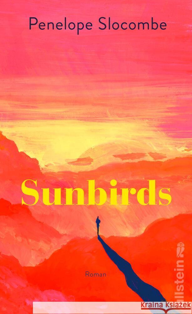 Sunbirds Slocombe, Penelope 9783550203008 Ullstein HC - książka