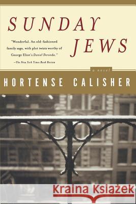 Sunday Jews Hortense Calisher 9780156027458 Harvest/HBJ Book - książka
