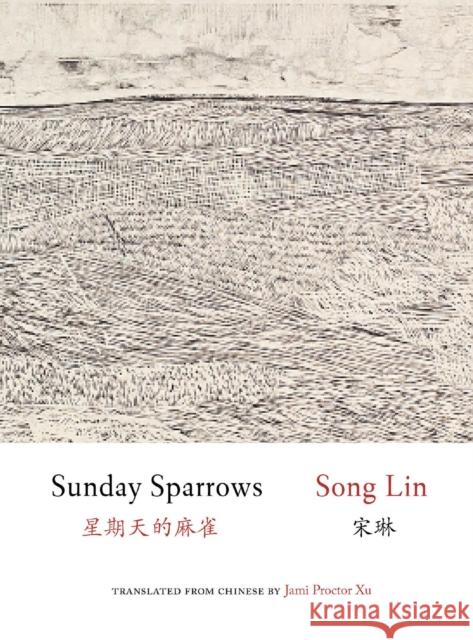 Sunday Sparrows  9781938890253 Zephyr Press - książka