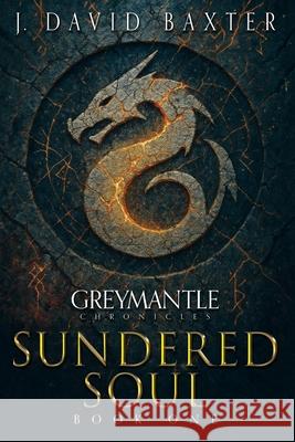 Sundered Soul: A Dark Portal Fantasy Adventure J. David Baxter 9781953708380 Silver Paw Publishing - książka