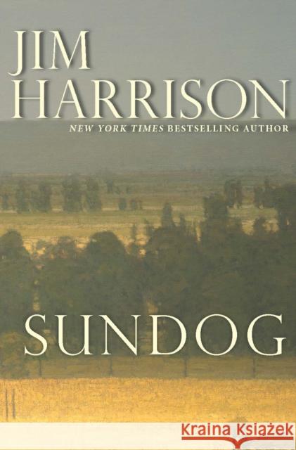 Sundog  9780802158499 Grove Press - książka