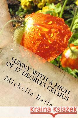 Sunny with a high of 17 degrees celsius Bailey, Michelle 9781533510129 Createspace Independent Publishing Platform - książka