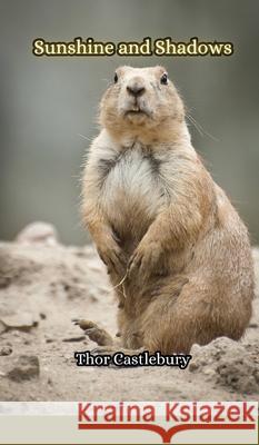 Sunshine and Shadows Thor Castlebury 9789916855782 Creative Arts Management Ou - książka