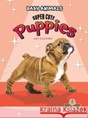 Super Cute Puppies Amy Culliford 9781039696303 Crabtree Roots - książka