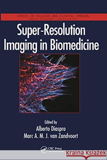 Super-Resolution Imaging in Biomedicine Alberto Diaspro Marc A. M. J. Va 9780367782740 CRC Press - książka