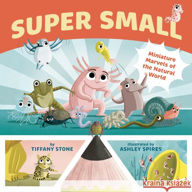 Super Small: Miniature Marvels of the Natural World Tiffany Stone 9781771646567 Greystone Books,Canada - książka