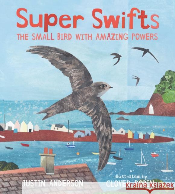 Super Swifts: The Small Bird With Amazing Powers Justin Anderson 9781529500998 Walker Books Ltd - książka