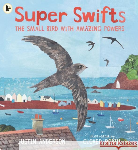 Super Swifts: The Small Bird With Amazing Powers Justin Anderson 9781529523690 Walker Books Ltd - książka