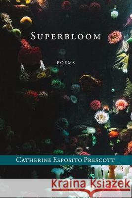 Superbloom Catherine Esposito Prescott 9781957062273 Gunpowder Press - książka