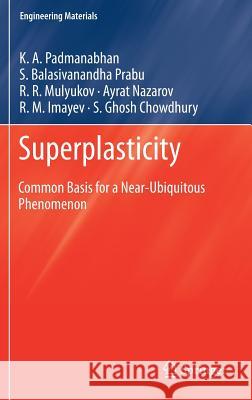 Superplasticity: Common Basis for a Near-Ubiquitous Phenomenon Padmanabhan, K. a. 9783642319563 Springer - książka