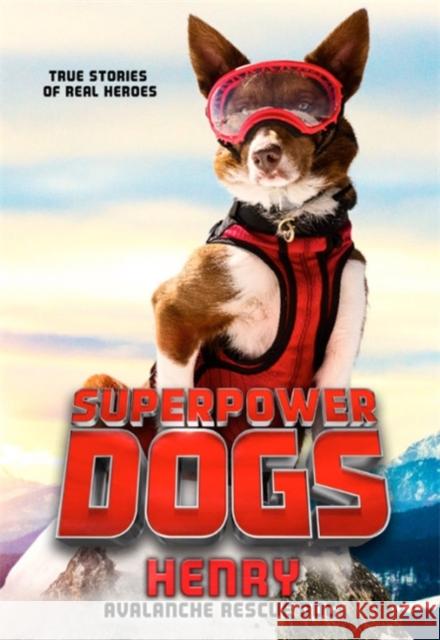 Superpower Dogs: Henry: Avalanche Rescue Dog Cosmic 9780316453622 Little, Brown Books for Young Readers - książka
