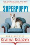 Superpuppy: How to Choose, Raise, and Train the Best Possible Dog for You Jill Pinkwater Daniel Manus Pinkwater Jill Pinkwater 9780618130504 Clarion Books